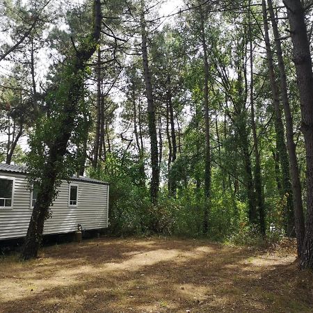 Le Ilo - Camping La Dune Blanche Camiers Exterior foto